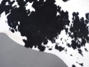 Коровья шкура натуральная черно-белая арт.: 30430 - T6613f490634fa816073818