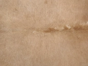 Шкура коровы ковер натуральная бежевая арт.: 31392 - T69d648054b2b6139291109