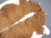 Шкура коровы натуральная тигровая арт.: 31267 - T68c91fbf9b4b1656921416