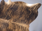 Шкура коровы натуральная тигровая арт.: 29463 - T652d4723c6d2e746848290
