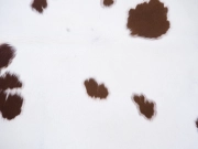 Натуральная шкура коровы коричнево-белая арт.: 29398 - T6504382ca493a900255517