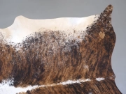 Шкура коровы натуральная тигровая арт.: 31337 - T69808f63d6e82371531166