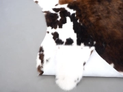 Шкура коровы натуральная трехцветная арт.: 30288 - T6502fb49f275d034858107