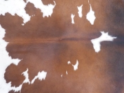 Натуральная шкура коровы черно-белая красноватая арт.: 31295 - T690dac7ab14f7436921857