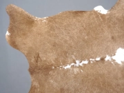 Натуральная коровья шкура – ковер бежево-белая арт.: 31306 - T693805bc89905747003950