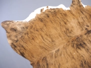 Шкура коровы ковер натуральная тигровая с белым животом арт.: 29434 - T652d4caaeac09789189291