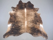 Шкура коровы натуральная тигровая арт.: 31375 - T69ce3a7184c98096972389