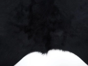 Ковер коровья шкура окрашена в насыщенно черный арт.: 30057 - T652fd19347a4a421994690
