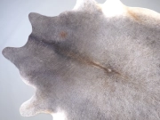 Шкура коровы маленького размера серая арт.: 31318 - T6968f1af2d363484643805