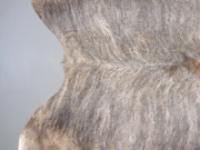 Шкура коровы натуральная экзотическая светлая арт.: 31385 - T69d3b1b7961a4342190350