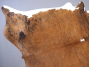 Коровья шкура натуральная экзотическая тигровая арт.: 29449 - T652e443b9a35e106799012