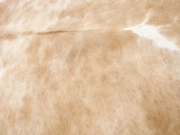 Коровья шкура натуральная бежево-белая арт.: 29362 - T652e7351652b7450702249