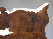 Шкура коровы натуральная тигровая арт.: 31469 - T6a15a36ca5aed355178553